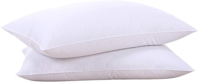 Two white-covered pillows on a white background, showcasing the Pure Down Goose Feathers and Down Pillows.
